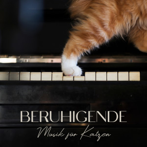 Listen to Zustand der Gelassenheit song with lyrics from Entspannungsmusik für Tiere
