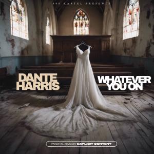 Dante' Harris的專輯Whatever you on (Explicit)