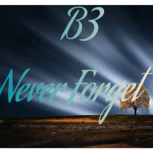 Listen to Never Forget (Explicit) song with lyrics from B3