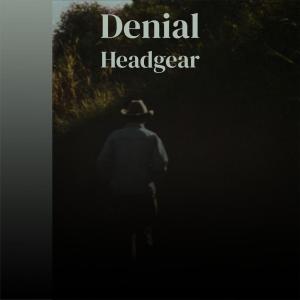 Various Artists的專輯Denial Headgear