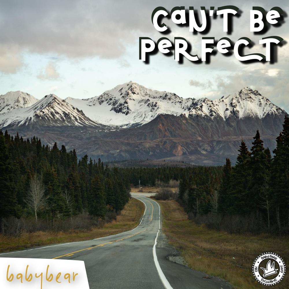 Can't Be Perfect