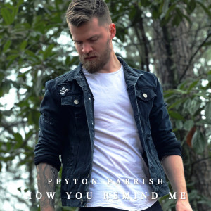 Dengarkan lagu How You Remind Me nyanyian Peyton Parrish dengan lirik