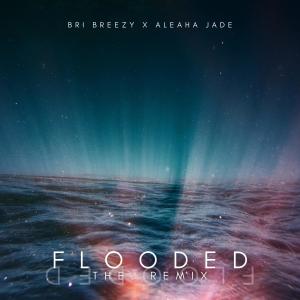 อัลบัม Flooded (feat. Aleaha Jade) [Remix] [Explicit] ศิลปิน BRI BREEZY