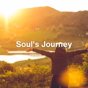 Album Soul's Journey from Go to Sleep Fast