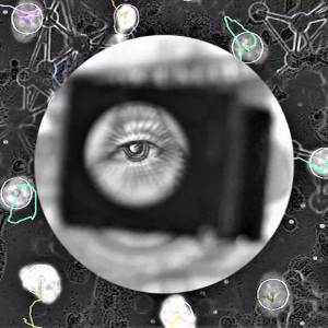 收听Visceral Design的Envy歌词歌曲