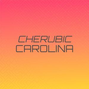 Various的专辑Cherubic Carolina