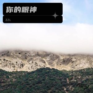 Listen to 你的眼神 (Demo) song with lyrics from ZZL