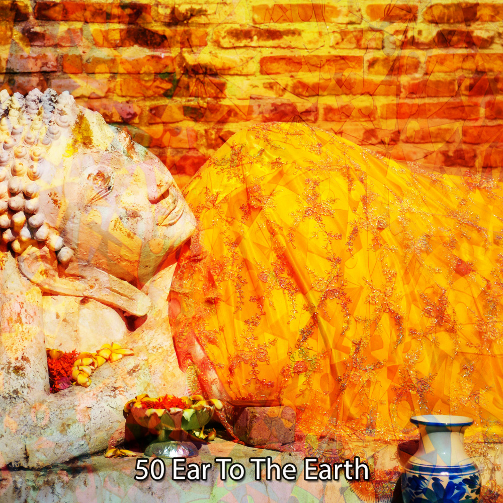 Evolving Mind