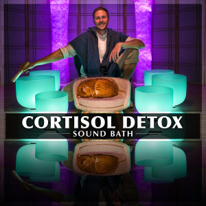 Album Cortisol Detox Sound Bath from Healing Vibrations