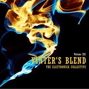 Various Artists的專輯Vinter's Blend: The Electronica Collective, Vol. 12