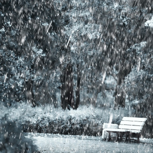 Prince Of Rain的專輯Rainy Whispers: Theta Waves, Rain