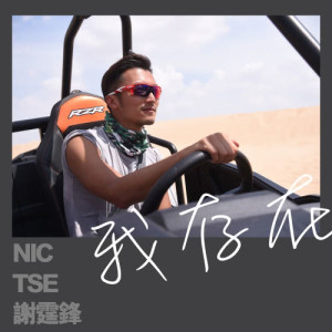 Listen to Feng Wei (man) song with lyrics from Nicholas Tse (谢霆锋)