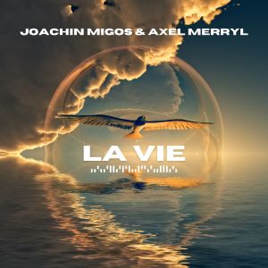 Album La vie from JOACHIN MIGOS