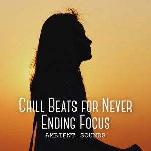 Calm Music Guru的专辑Ambient Sounds: Chill Beats for Never Ending Focus