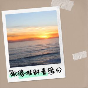 Listen to 姻缘难料看缘分 (完整版) song with lyrics from 思寒