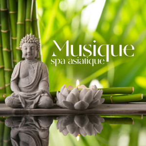 Listen to Vaincre le stress song with lyrics from Académie de Bien-être