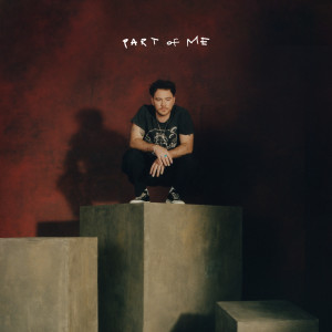 ดาวน์โหลดและฟังเพลง Part Of Me พร้อมเนื้อเพลงจาก Cian Ducrot