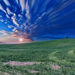 Album Winter Tranquil Sounds | Relaxation from Deep Sleep Music Experience