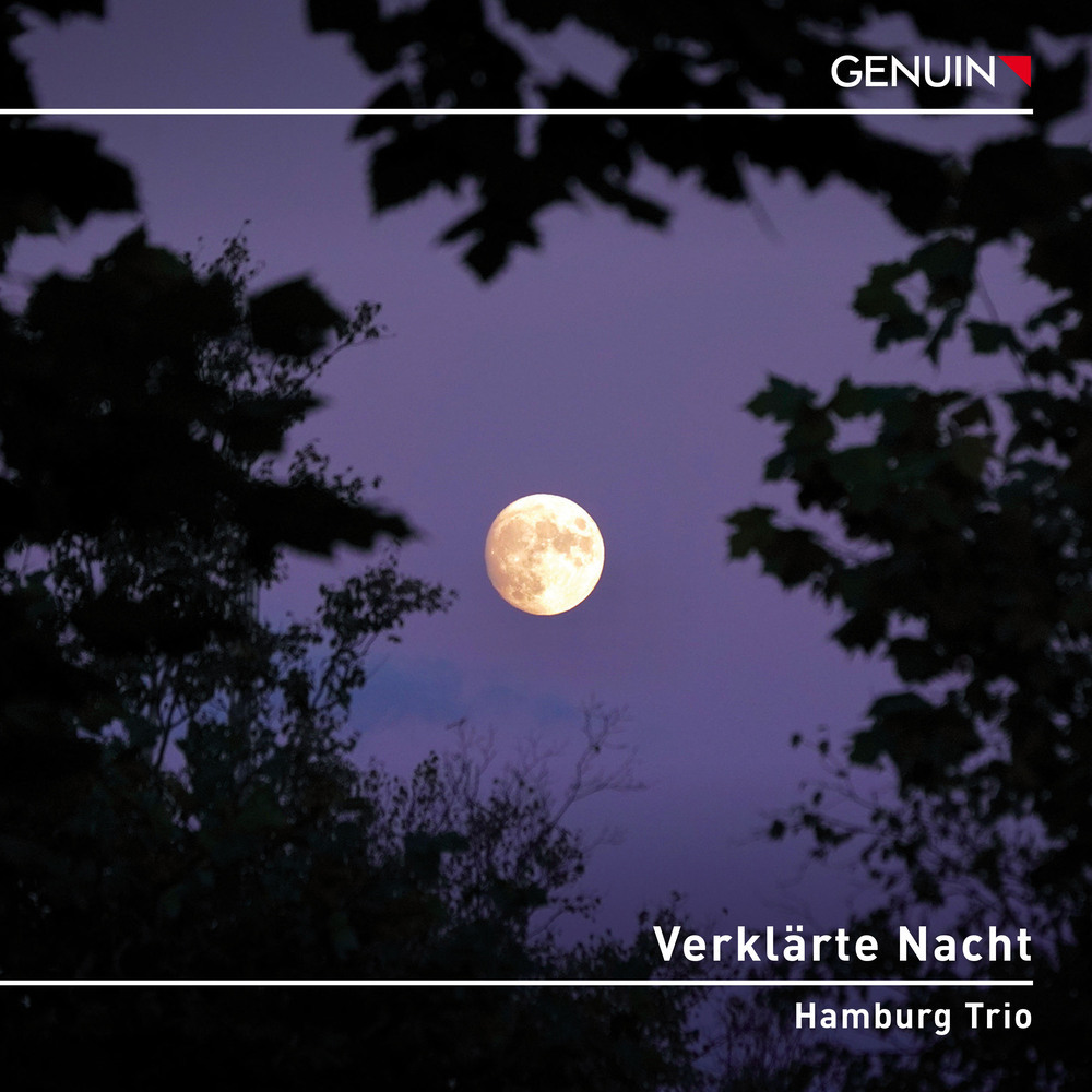 Klaviertrio in Es-Dur, "Notturno", 897, op. posth. 148: Adagio