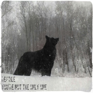 Listen to You're Not the Only One song with lyrics from Reptile