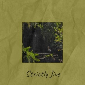 อัลบัม Strictly Jive ศิลปิน Various