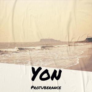Album Yon Protuberance from Various