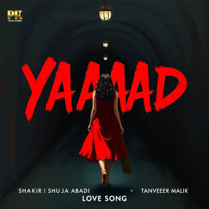 收聽Tanveer Malik的Yaad歌詞歌曲