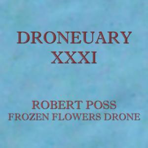 Album Droneuary XXXI - Frozen Flowers Drone from Robert Poss