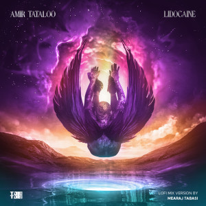 Listen to Lidocaine (Mearaj Tabasi LoFi Mix) song with lyrics from Amir Tataloo