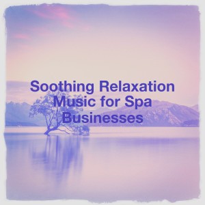 อัลบัม Soothing Relaxation Music for Spa Businesses ศิลปิน Relaxation - Ambient