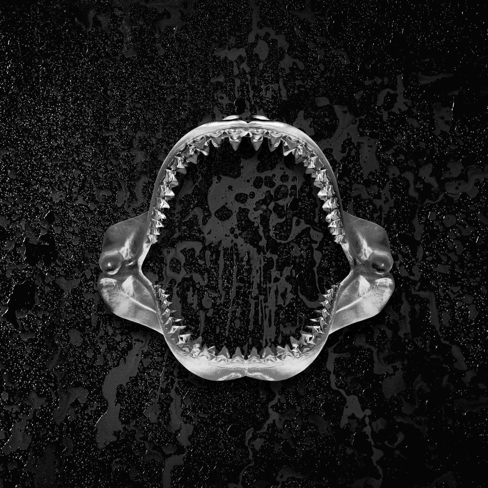 TELL ME IF I'M WRONG (feat. BLU, Pugs Atomz, Fashawn & Badge and Talkalot) (instrumental)