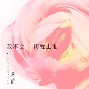 收听姜玉阳的我不会再爱上谁 (伴奏)歌词歌曲
