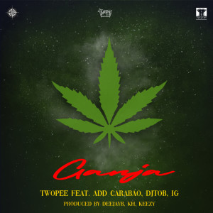 Listen to กัญชา song with lyrics from Twopee Southside