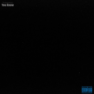 Listen to You Know (Explicit) song with lyrics from TheNamless