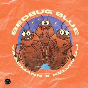 收聽YaadMann的BEDBUG BLUE (feat. Kelvin DJ)歌詞歌曲