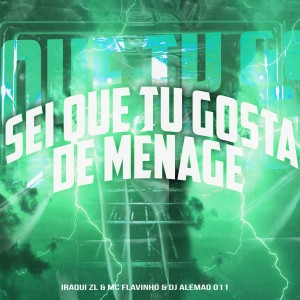 ดาวน์โหลดและฟังเพลง Sei Que Tu Gosta de Ménage (Explicit) พร้อมเนื้อเพลงจาก Iraqui Zl