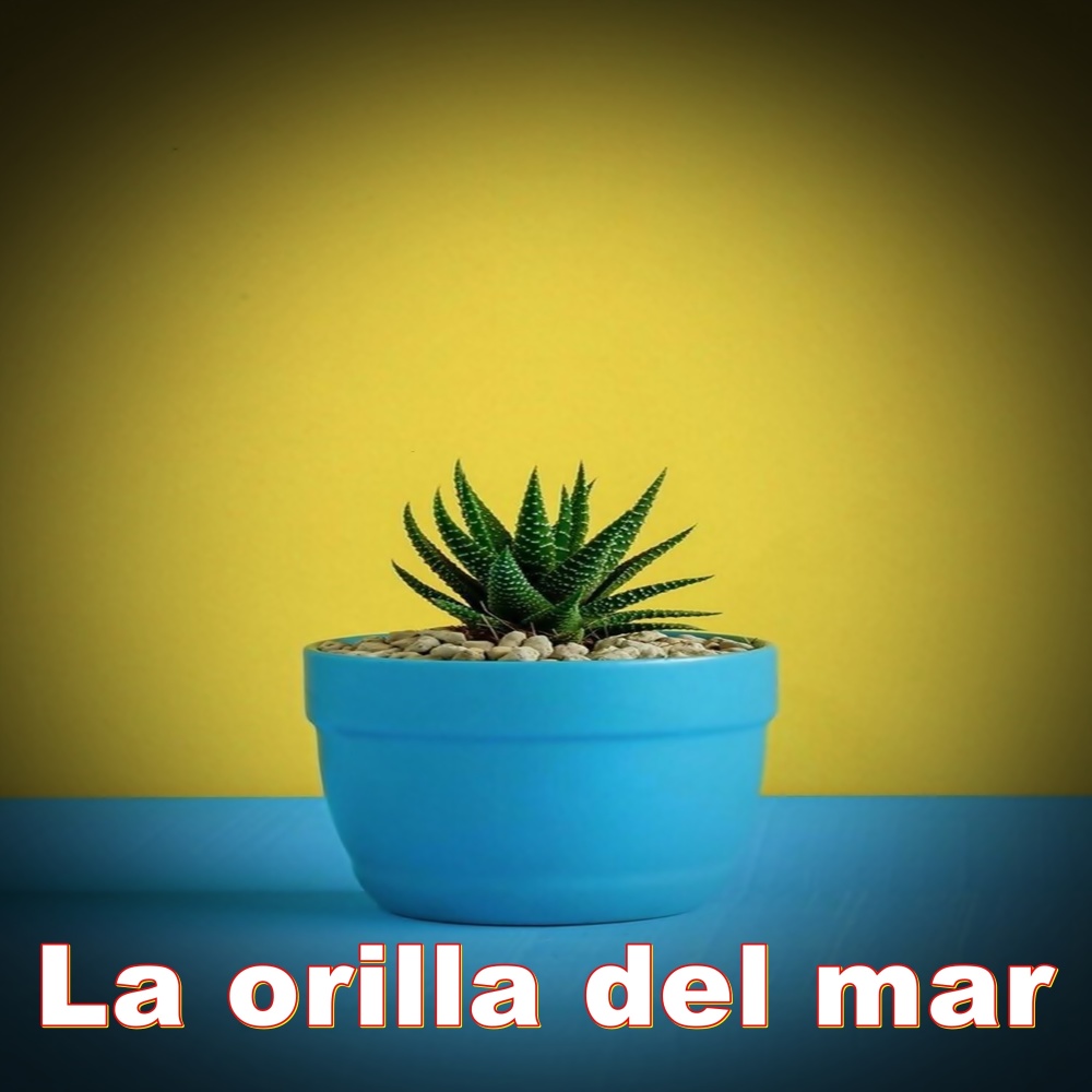 Yo Tambien