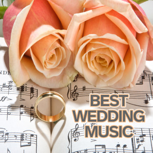 Various Artists的專輯Best Wedding Music