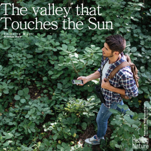 ดาวน์โหลดและฟังเพลง Forest that Keeps Sweat Cool (ASMR, Sleep Music, Meditation Music) พร้อมเนื้อเพลงจาก 힐링 네이쳐 Nature Sound Band