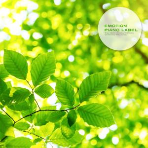Album Meditation For Peaceful Body And Mind Piano Collection from Korea Various Artists