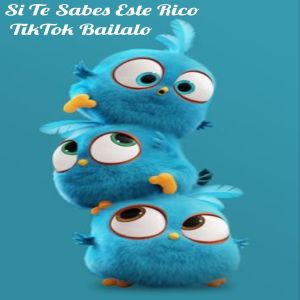 default album img