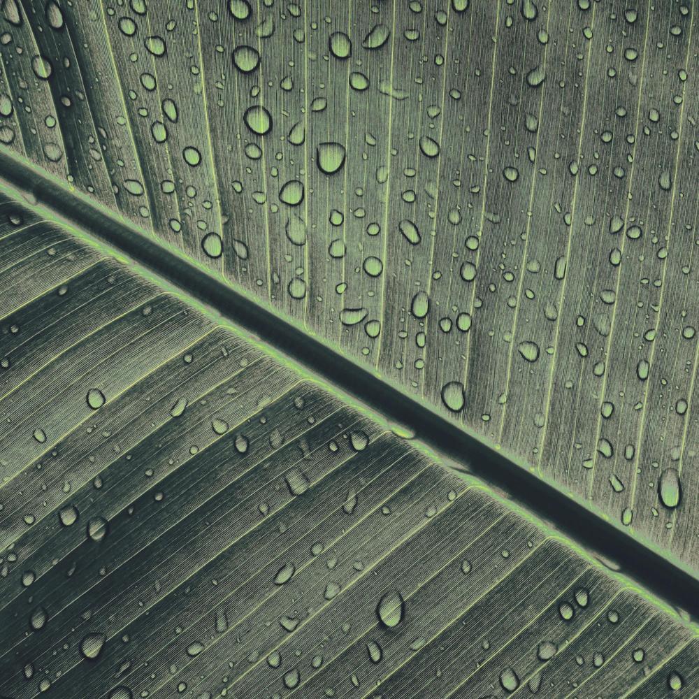 Water Dripping In High Frequency