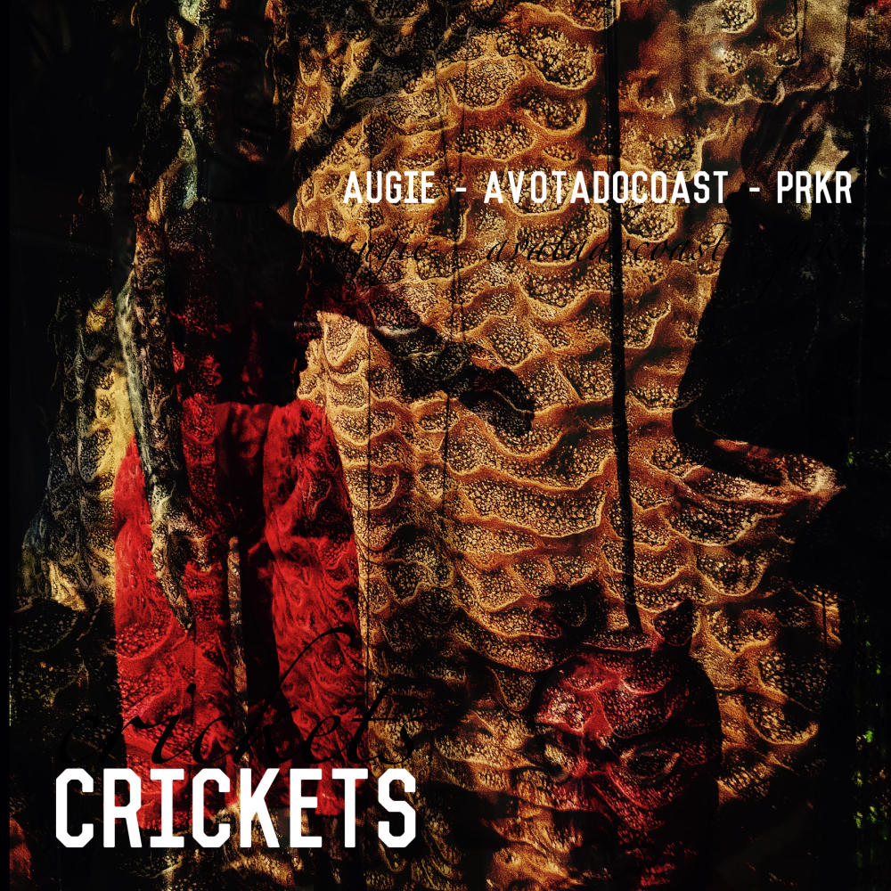 crickets (feat. avotadocoast & PRKR)