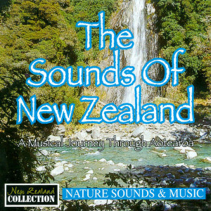 ดาวน์โหลดและฟังเพลง Storm over Cook Strait พร้อมเนื้อเพลงจาก Anton Hughes