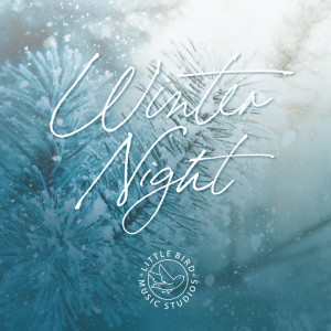 ดาวน์โหลดและฟังเพลง Winter Night พร้อมเนื้อเพลงจาก Little Bird Music Studios