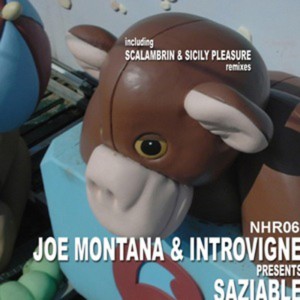 ดาวน์โหลดและฟังเพลง Saziable (Love Mix) พร้อมเนื้อเพลงจาก Andrea Introvigne