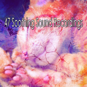 ดาวน์โหลดและฟังเพลง Advancing Rest พร้อมเนื้อเพลงจาก Ocean Sounds Collection