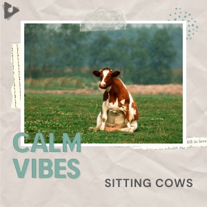 Calm Vibes的专辑Sitting Cows