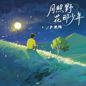 Album 月照野花那少年 from 卢润泽
