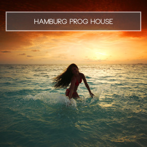 Album Hamburg Prog House oleh Various Artists